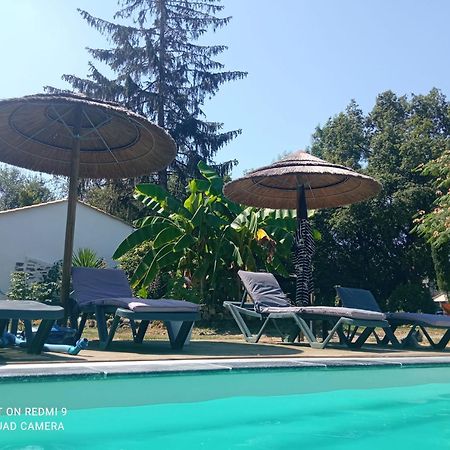 Le Champ-Saint-Pere Mas Des Vignes Piscine Chauffee B&B 외부 사진