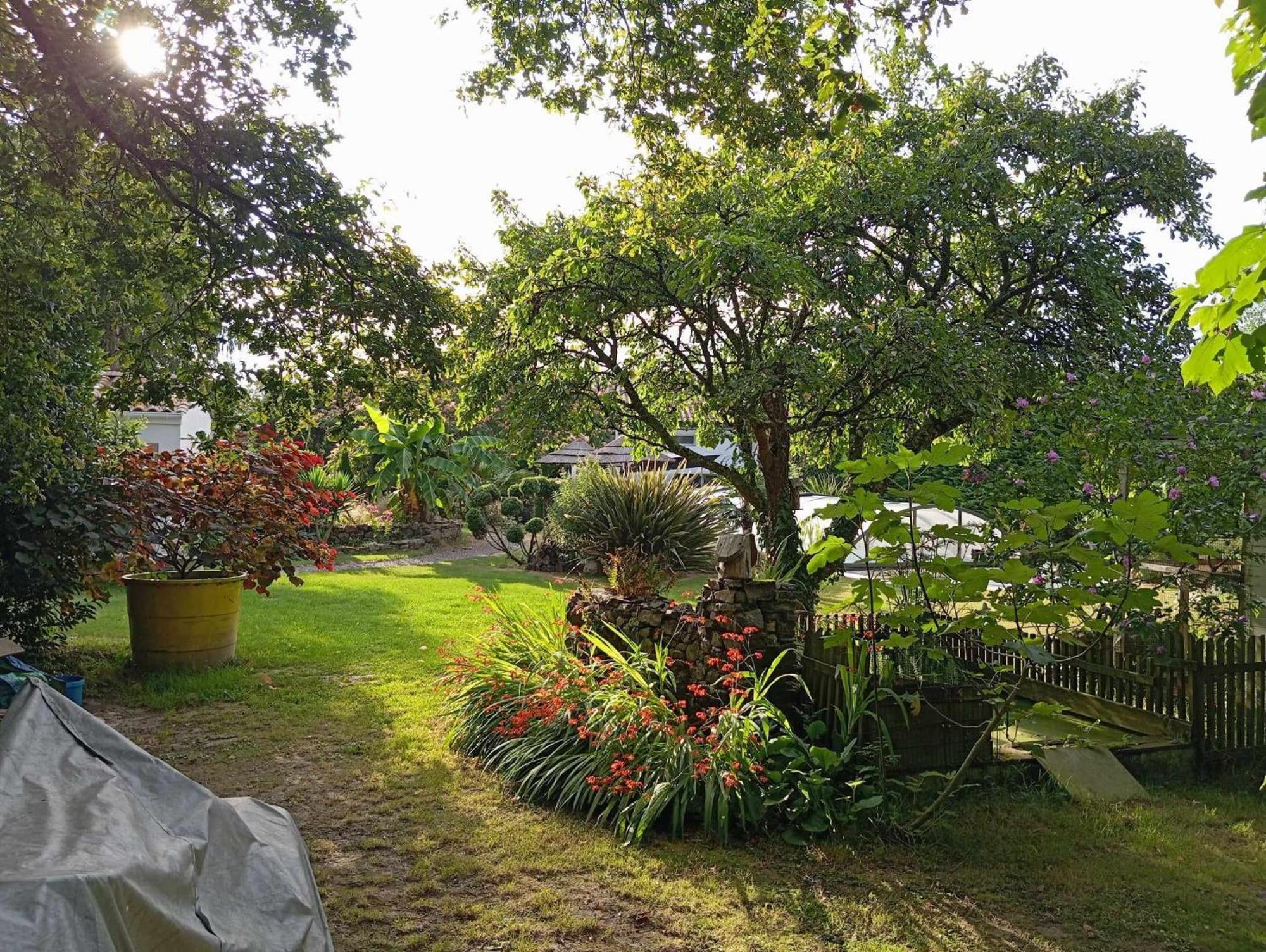 Le Champ-Saint-Pere Mas Des Vignes Piscine Chauffee B&B 외부 사진